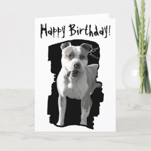 Carte de voeux de pitbull de joyeux anniversaire