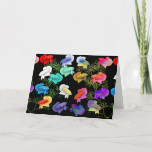 Carte de voeux de poisson de Betta Aquarium coloré