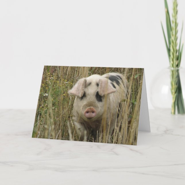 Carte de voeux de porc mignonne (Devant)