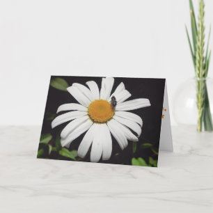Carte de vœux de rétablissement "Bee Upon Daisy"