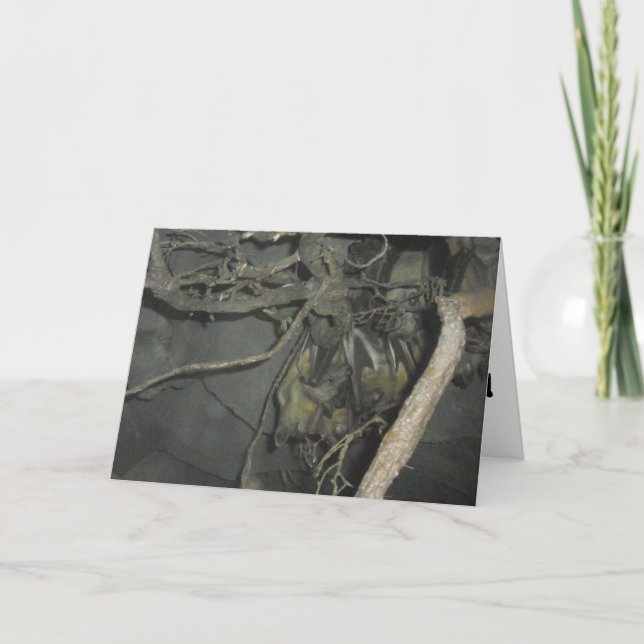 Carte de vœux de rétablissement "Fruit Bats" (Devant)