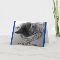 Carte de vœux de rétablissement pour chaton triste