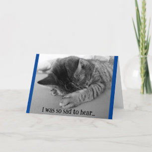 Carte de vœux de rétablissement pour chaton triste