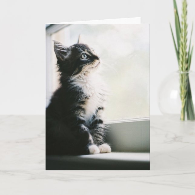 Carte de voeux de rêve (Devant)