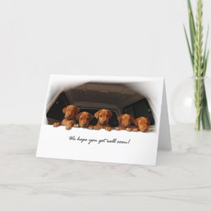 Carte de voeux de Rhodesian Ridgeback - obtenez