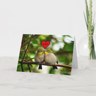 Carte de voeux de Saint-Valentin - oiseaux dans un