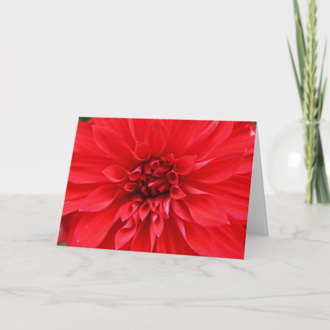 Carte de voeux de Sun d'hiver (Devant)