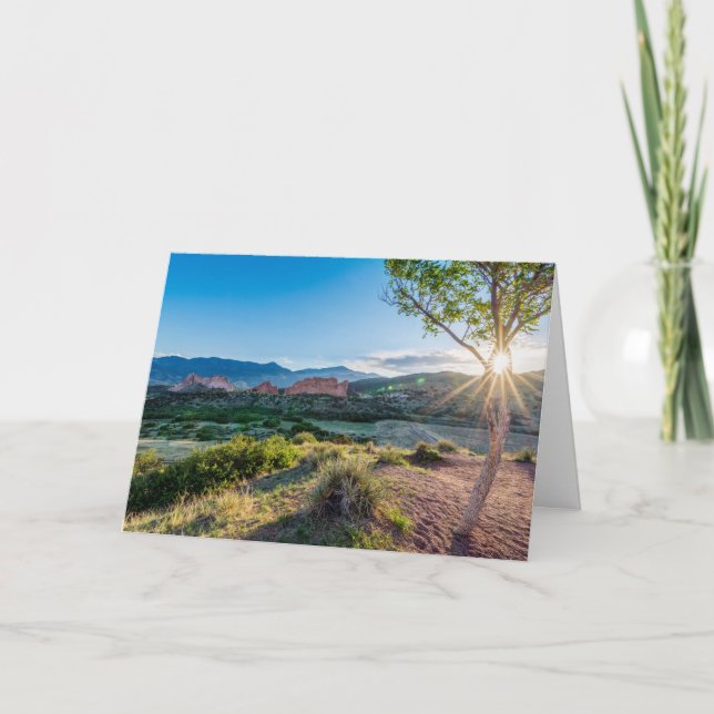 Carte de voeux de Sunburst Garden of Gods Tree (Devant)