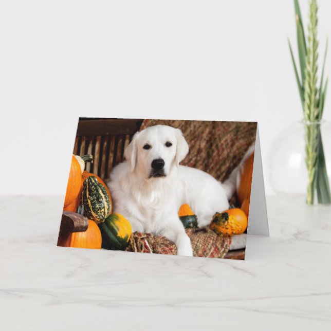 Carte de voeux de thanksgiving de golden retriever (Devant)