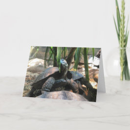 carte de voeux de tortue de bébé #2 (message à
