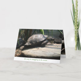 carte de voeux de tortue de bébé (encouragement)
