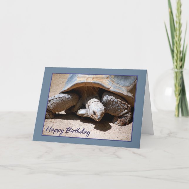 Carte de voeux de tortue de joyeux anniversaire (Devant)