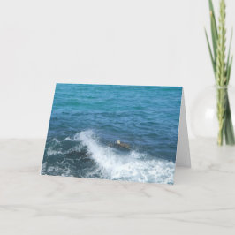 carte de voeux de tortue (encouragement)