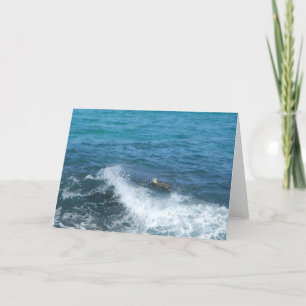 carte de voeux de tortue (vide à l'intérieur)