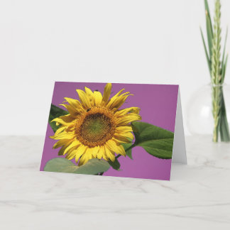 Carte de voeux de tournesol