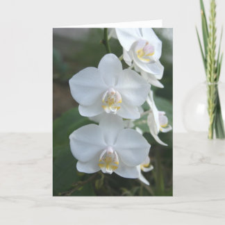 Carte de voeux de trois petite domestiques