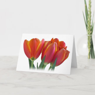 Carte de voeux de tulipes