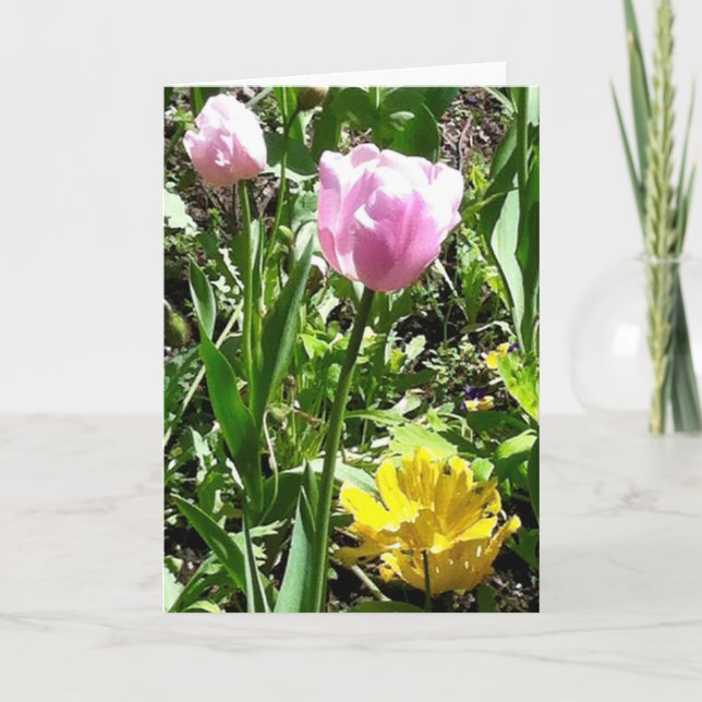 Carte de voeux de tulipes (Devant)
