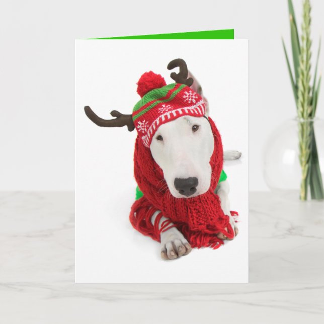 Carte de voeux de vacances Bull Terrier à une orei (Devant)