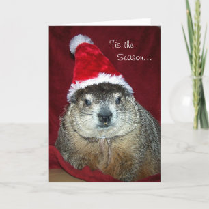 Carte de voeux de vacances de Groundhog Clara