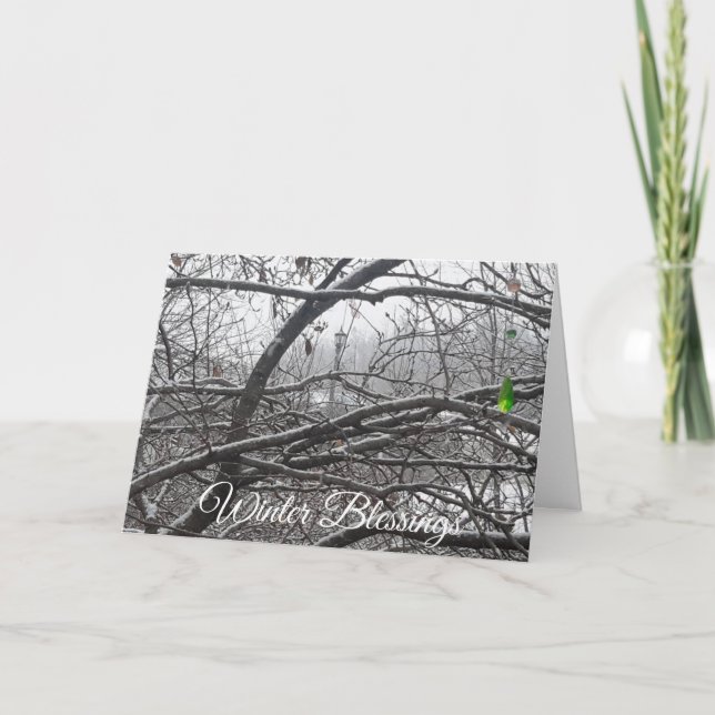 Carte de voeux de vacances de la bénédiction d'hiv (Devant)