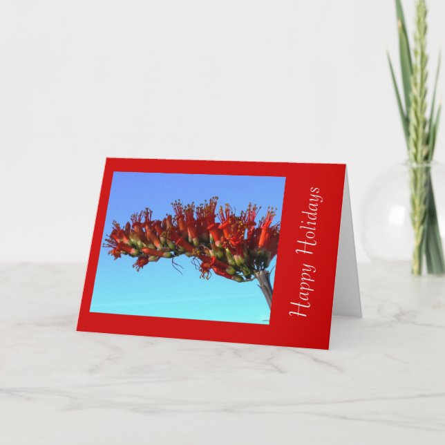 Carte de voeux de vacances Red Ocotillo Blooms (Devant)
