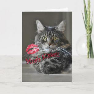 Carte de voeux de Valentine de chat de ragondin du