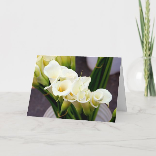 carte de voeux de zantedeschia (Devant)