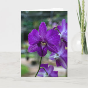 Carte de voeux Deep Purple Orchid personnalisable.