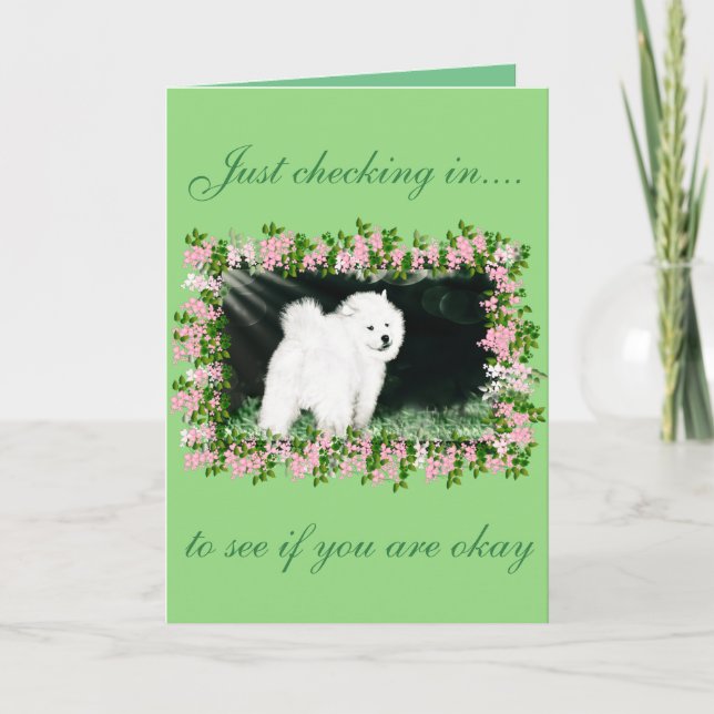 Carte de voeux d'encouragement Samoyed; dessins de (Devant)