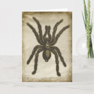 Carte de voeux déplaisante Spider