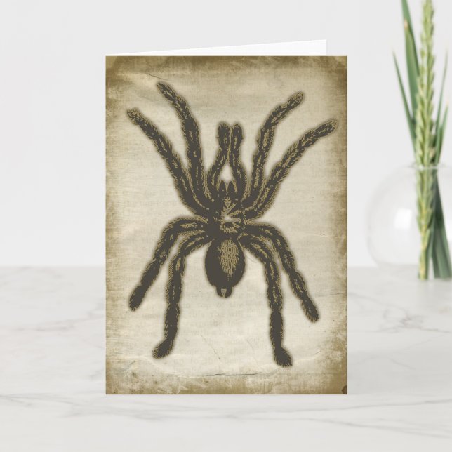 Carte de voeux déplaisante Spider (Devant)