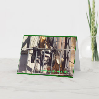 Carte de voeux des bars à singes