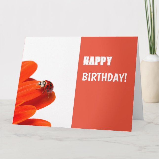 Carte de voeux des coccinelles orangées (Devant)