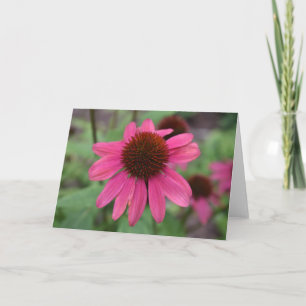Carte de voeux des Conflowers