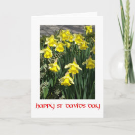 Carte de voeux des jonquilles Saint-David