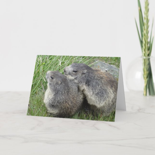 Carte de voeux des Marmottes (Devant)