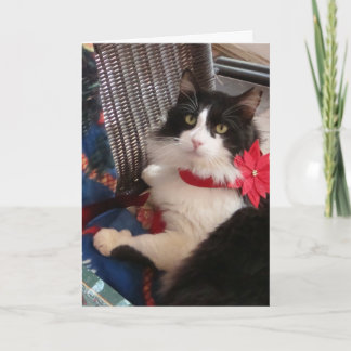 Carte de voeux des vacances de Wilbur