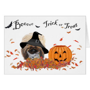 Carte de voeux d'Halloween Pekingese