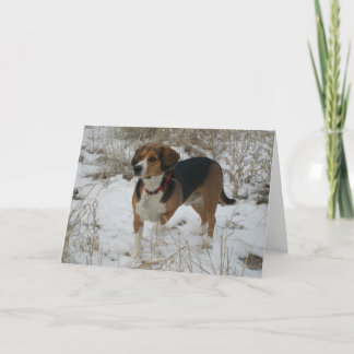 Carte de voeux d'hiver de beagle de neige - chien