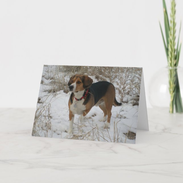 Carte de voeux d'hiver de beagle de neige - chien (Devant)