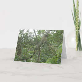 carte de voeux d'iguane (amincissant la version)