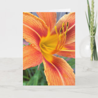 Carte de voeux diurne Orange