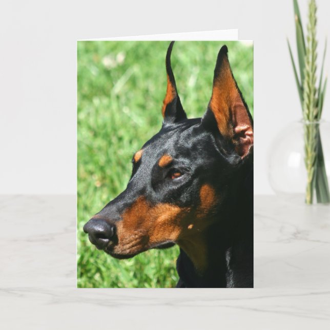 Carte de voeux Doberman Pinscher (Devant)