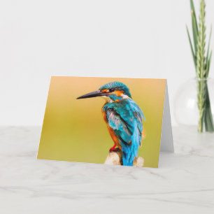 Carte de voeux d'oiseau de martin-pêcheur