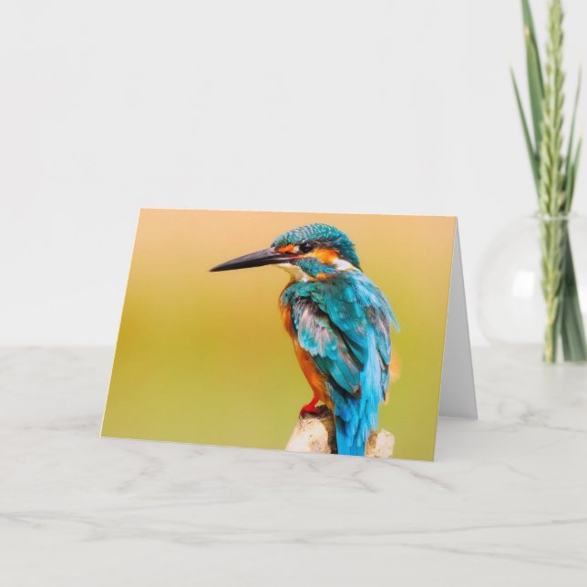 Carte de voeux d'oiseau de martin-pêcheur (Devant)