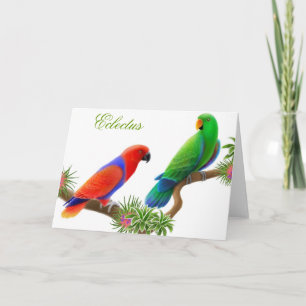 Carte de voeux d'oiseaux d'Eclectus