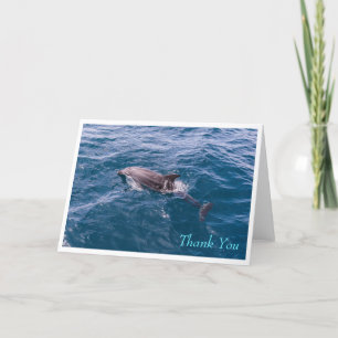 Carte de voeux Dolphin Bottlenose