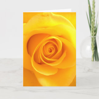 Carte de voeux d'or de rose