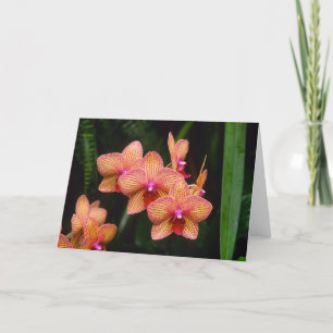 Carte de voeux d'orchidée